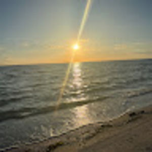 Meet your Posher, Avery